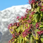 Cascina Del 팜스테이 *