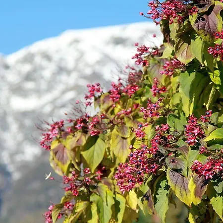 Cascina Del Vakantieboerderij *